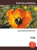 Tulip