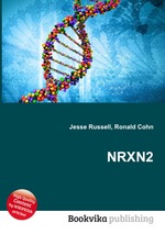 NRXN2