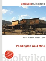 Paddington Gold Mine