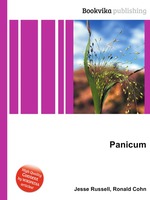 Panicum