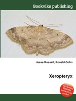 Xeropteryx