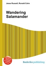 Wandering Salamander