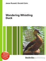 Wandering Whistling Duck