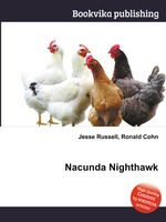 Nacunda Nighthawk