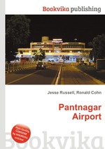 Pantnagar Airport