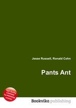 Pants Ant