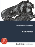 Pantydraco