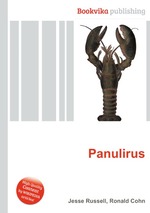 Panulirus