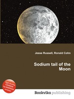 Sodium tail of the Moon