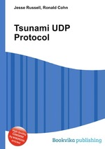 Tsunami UDP Protocol