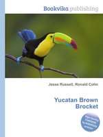 Yucatan Brown Brocket