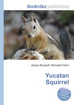 Yucatan Squirrel