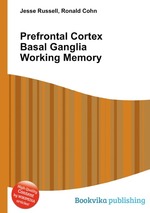 Prefrontal Cortex Basal Ganglia Working Memory