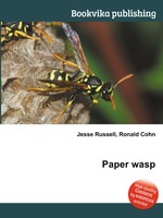 Paper wasp