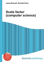 Scale factor (computer science)