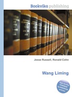 Wang Liming