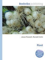 Root