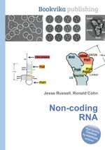 Non-coding RNA