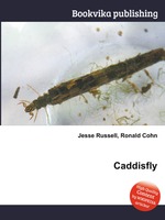 Caddisfly