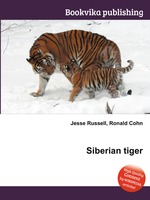 Siberian tiger