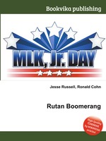 Rutan Boomerang