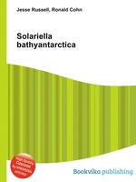 Solariella bathyantarctica