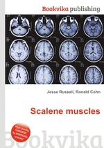 Scalene muscles