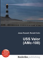 USS Valor (AMc-108)