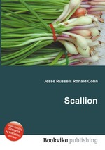 Scallion