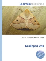 Scalloped Oak