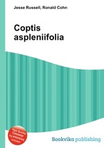 Coptis aspleniifolia