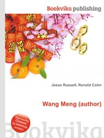Wang Meng (author)