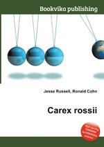 Carex rossii