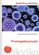 Promegakaryocyte