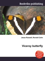 Viceroy butterfly