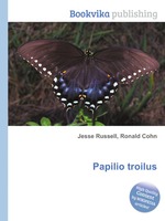 Papilio troilus