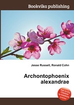 Archontophoenix alexandrae