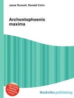 Archontophoenix maxima