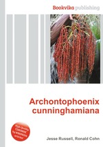 Archontophoenix cunninghamiana