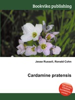 Cardamine pratensis