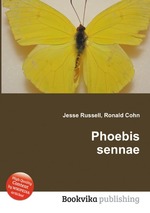 Phoebis sennae