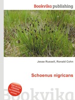 Schoenus nigricans