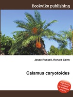 Calamus caryotoides