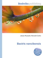 Bactris nancibensis