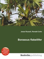 Borassus flabellifer