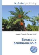 Borassus sambiranensis