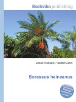 Borassus heineanus