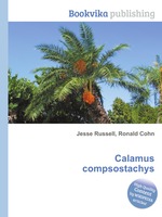 Calamus compsostachys