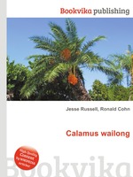 Calamus wailong