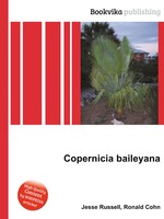 Copernicia baileyana